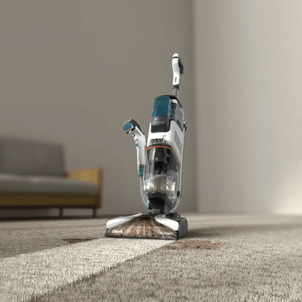 Carpet Cleaning