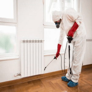 Pest Control — Crawling Insects (Residential)
