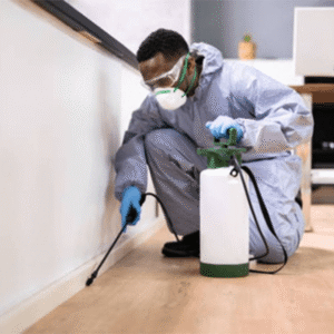 Pest Control — Crawling Insects (Large Projects)