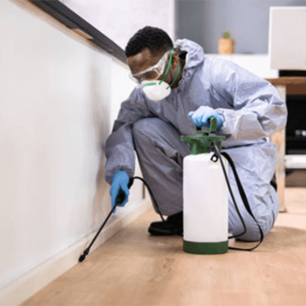 Pest Control — Crawling Insects (Large Projects)